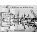 Billeder fra Kalundborg - Bind 10